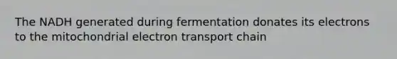 The NADH generated during fermentation donates its electrons to the mitochondrial electron transport chain