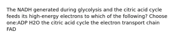 The NADH generated during glycolysis and the citric acid cycle feeds its high-energy electrons to which of the following? Choose one:ADP H2O the citric acid cycle the electron transport chain FAD