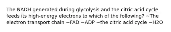 The NADH generated during glycolysis and the citric acid cycle feeds its high-energy electrons to which of the following? ~The electron transport chain ~FAD ~ADP ~the citric acid cycle ~H2O