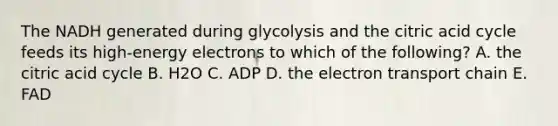 The NADH generated during glycolysis and the citric acid cycle feeds its high-energy electrons to which of the following? A. the citric acid cycle B. H2O C. ADP D. the electron transport chain E. FAD