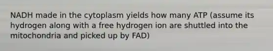 NADH made in the cytoplasm yields how many ATP (assume its hydrogen along with a free hydrogen ion are shuttled into the mitochondria and picked up by FAD)