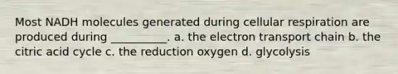 Most NADH molecules generated during cellular respiration are produced during __________. a. the electron transport chain b. the citric acid cycle c. the reduction oxygen d. glycolysis