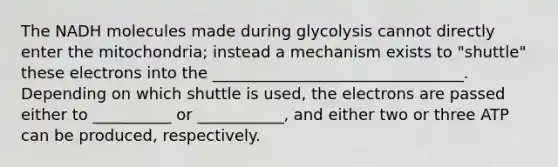 The NADH molecules made during glycolysis cannot directly enter the mitochondria; instead a mechanism exists to "shuttle" these electrons into the ________________________________. Depending on which shuttle is used, the electrons are passed either to __________ or ___________, and either two or three ATP can be produced, respectively.