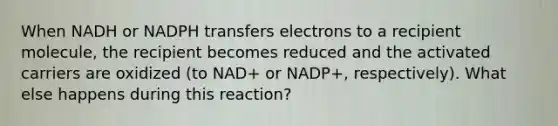 When NADH or NADPH transfers electrons to a recipient molecule, the recipient becomes reduced and the activated carriers are oxidized (to NAD+ or NADP+, respectively). What else happens during this reaction?