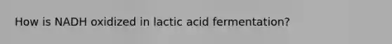 How is NADH oxidized in lactic acid fermentation?