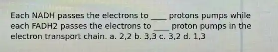 Each NADH passes the electrons to ____ protons pumps while each FADH2 passes the electrons to ____ proton pumps in the electron transport chain. a. 2,2 b. 3,3 c. 3,2 d. 1,3