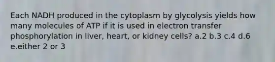 Each NADH produced in the cytoplasm by glycolysis yields how many molecules of ATP if it is used in electron transfer phosphorylation in liver, heart, or kidney cells? a.2 b.3 c.4 d.6 e.either 2 or 3