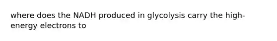 where does the NADH produced in glycolysis carry the high-energy electrons to