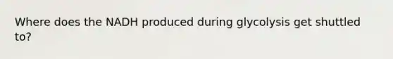 Where does the NADH produced during glycolysis get shuttled to?