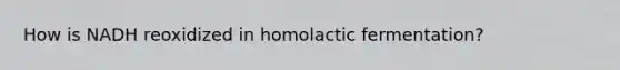 How is NADH reoxidized in homolactic fermentation?