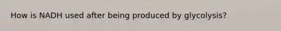 How is NADH used after being produced by glycolysis?