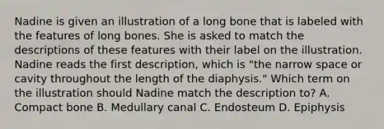 Nadine is given an illustration of a long bone that is labeled with the features of long bones. She is asked to match the descriptions of these features with their label on the illustration. Nadine reads the first​ description, which is​ "the narrow space or cavity throughout the length of the​ diaphysis." Which term on the illustration should Nadine match the description​ to? A. Compact bone B. Medullary canal C. Endosteum D. Epiphysis