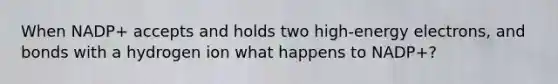 When NADP+ accepts and holds two high-energy electrons, and bonds with a hydrogen ion what happens to NADP+?