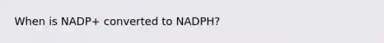 When is NADP+ converted to NADPH?