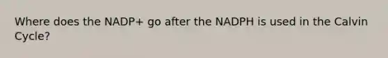 Where does the NADP+ go after the NADPH is used in the Calvin Cycle?