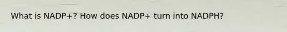 What is NADP+? How does NADP+ turn into NADPH?