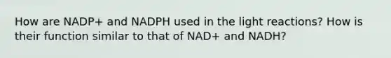 How are NADP+ and NADPH used in the light reactions? How is their function similar to that of NAD+ and NADH?