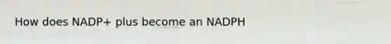 How does NADP+ plus become an NADPH