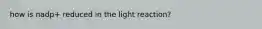 how is nadp+ reduced in the light reaction?