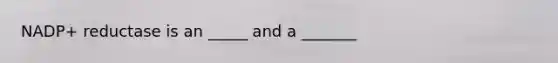 NADP+ reductase is an _____ and a _______