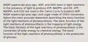 NADP superscript plus sign, ADP, and H2O react in light reactions in the presence of light to produce ATP, NADPH, and O2. ATP, NADPH, and CO2 are used in the Calvin Cycle to produce ADP, NADP superscript plus sign, and sugar made of CH2O monomers. Select the most accurate statement describing the basic function of the light reactions of photosynthesis. The basic function of the light reactions of photosynthesis is the trapping of light energy. The basic function of the light reactions of photosynthesis is the conversion of solar energy to chemical energy. The basic function of the light reactions of photosynthesis is the production of glucose.