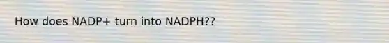 How does NADP+ turn into NADPH??