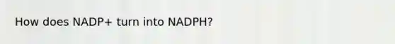 How does NADP+ turn into NADPH?