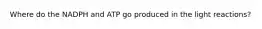 Where do the NADPH and ATP go produced in the light reactions?
