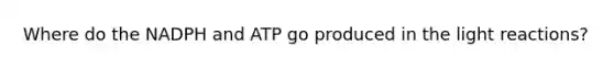 Where do the NADPH and ATP go produced in the light reactions?