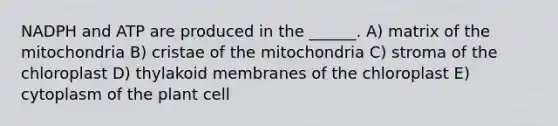 NADPH and ATP are produced in the ______. A) matrix of the mitochondria B) cristae of the mitochondria C) stroma of the chloroplast D) thylakoid membranes of the chloroplast E) cytoplasm of the plant cell