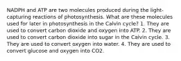 NADPH and ATP are two molecules produced during the light-capturing reactions of photosynthesis. What are these molecules used for later in photosynthesis in the Calvin cycle? 1. They are used to convert carbon dioxide and oxygen into ATP. 2. They are used to convert carbon dioxide into sugar in the Calvin cycle. 3. They are used to convert oxygen into water. 4. They are used to convert glucose and oxygen into CO2.