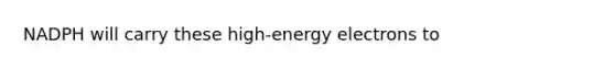 NADPH will carry these high-energy electrons to