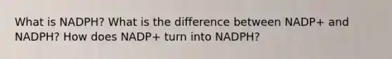 What is NADPH? What is the difference between NADP+ and NADPH? How does NADP+ turn into NADPH?