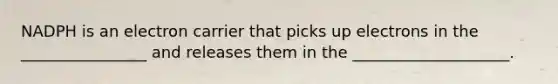 NADPH is an electron carrier that picks up electrons in the ________________ and releases them in the ____________________.