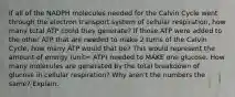 If all of the NADPH molecules needed for the Calvin Cycle went through the electron transport system of cellular respiration, how many total ATP could they generate? If those ATP were added to the other ATP that are needed to make 2 turns of the Calvin Cycle, how many ATP would that be? This would represent the amount of energy (unit= ATP) needed to MAKE one glucose. How many molecules are generated by the total breakdown of glucose in cellular respiration? Why aren't the numbers the same? Explain.