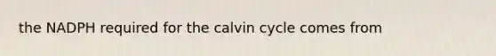 the NADPH required for the calvin cycle comes from