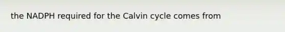 the NADPH required for the Calvin cycle comes from