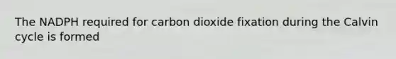 The NADPH required for carbon dioxide fixation during the Calvin cycle is formed