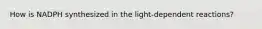 How is NADPH synthesized in the light-dependent reactions?