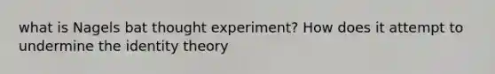 what is Nagels bat thought experiment? How does it attempt to undermine the identity theory