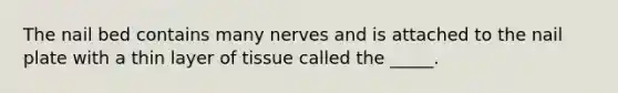 The nail bed contains many nerves and is attached to the nail plate with a thin layer of tissue called the _____.