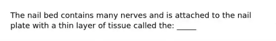 The nail bed contains many nerves and is attached to the nail plate with a thin layer of tissue called the: _____