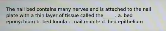 The nail bed contains many nerves and is attached to the nail plate with a thin layer of tissue called the_____. a. bed eponychium b. bed lunula c. nail mantle d. bed epithelium