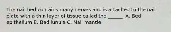 The nail bed contains many nerves and is attached to the nail plate with a thin layer of tissue called the ______. A. Bed epithelium B. Bed lunula C. Nail mantle