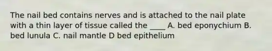 The nail bed contains nerves and is attached to the nail plate with a thin layer of tissue called the ____ A. bed eponychium B. bed lunula C. nail mantle D bed epithelium