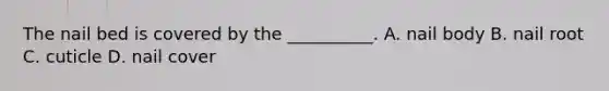 The nail bed is covered by the __________. A. nail body B. nail root C. cuticle D. nail cover