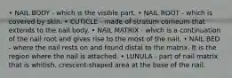 • NAIL BODY - which is the visible part. • NAIL ROOT - which is covered by skin. • CUTICLE - made of stratum corneum that extends to the nail body. • NAIL MATRIX - which is a continuation of the nail root and gives rise to the most of the nail. • NAIL BED - where the nail rests on and found distal to the matrix. It is the region where the nail is attached. • LUNULA - part of nail matrix that is whitish, crescent-shaped area at the base of the nail.