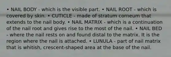 • NAIL BODY - which is the visible part. • NAIL ROOT - which is covered by skin. • CUTICLE - made of stratum corneum that extends to the nail body. • NAIL MATRIX - which is a continuation of the nail root and gives rise to the most of the nail. • NAIL BED - where the nail rests on and found distal to the matrix. It is the region where the nail is attached. • LUNULA - part of nail matrix that is whitish, crescent-shaped area at the base of the nail.