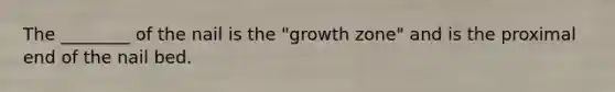 The ________ of the nail is the "growth zone" and is the proximal end of the nail bed.