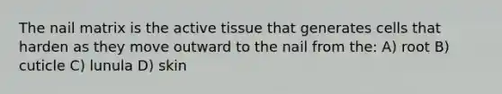 The nail matrix is the active tissue that generates cells that harden as they move outward to the nail from the: A) root B) cuticle C) lunula D) skin